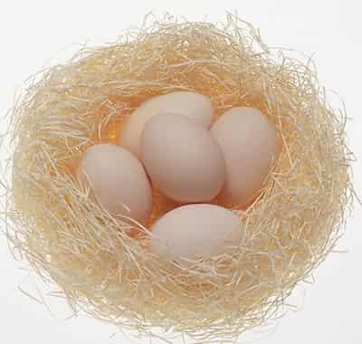 高蛋白质鸡蛋减肥食谱，搭配蔬果健康营养周瘦5KG 减肥食谱 第2张