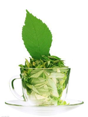 最有效的减肥茶,绿茶VS普洱茶瘦身效果 减肥饮品 第1张-瘦瘦减肥网 最有效的减肥茶,绿茶VS普洱茶瘦身效果 减肥饮品 第1张