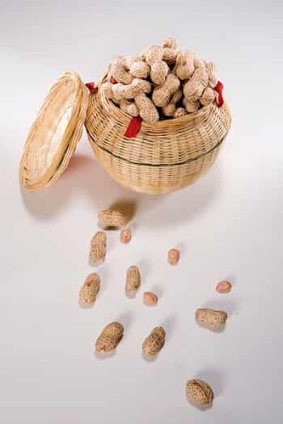 吃什么食物能快速丰胸，女生丰胸最好的方法 丰胸 第5张