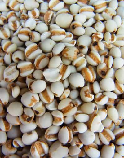 郑多燕强荐八款减肥食谱，减肥食品薏米做法大解析 减肥食谱 第3张