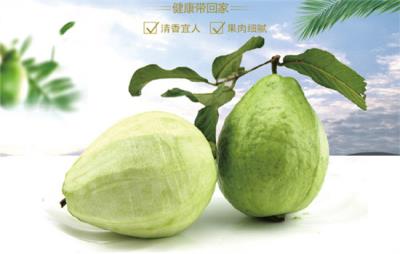 哪种水果减肥效果最好，懒人吃水果轻松瘦 懒人减肥 第4张