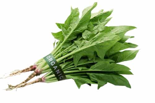 低卡低热量蔬菜食谱，快速瘦身“斤斤计较” 减肥食谱 第2张