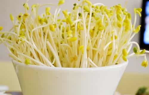 低卡低热量蔬菜食谱，快速瘦身“斤斤计较” 减肥食谱 第1张