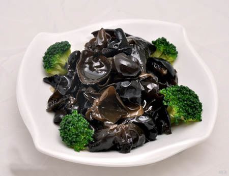 春季最佳减肥瘦身方法，饱着瘦才是硬道理 减肥 第1张