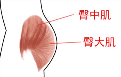 做深蹲屁股会变大吗，技术贴聊聊练臀的正确姿势 提臀 第2张