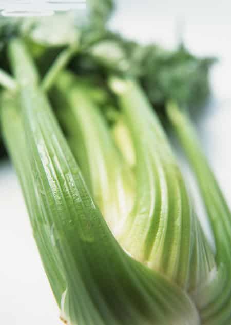 三款芹菜减肥食谱，懒人高纤维素瘦身法 减肥食谱 第1张