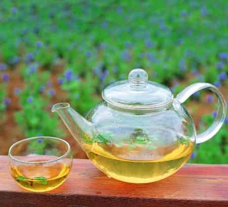 自制减肥瘦身茶配方，月瘦15斤自然健康享瘦一夏 减肥饮品 第1张