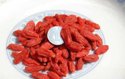 吃枸杞减肥有什么副作用，长期大量食用枸杞减肥要警惕 饮食减肥 第5张