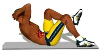 腹肌怎么练？教你最有效训练法(图) 减肚子 第2张