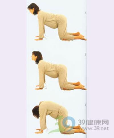 猫伸展式 减肥 第1张-瘦瘦减肥网 猫伸展式 减肥 第1张