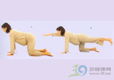 猫伸展式 减肥 第2张-瘦瘦减肥网 猫伸展式 减肥 第2张