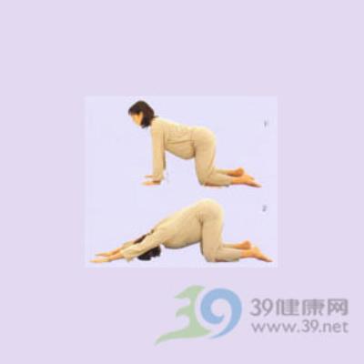 猫伸展式 减肥 第3张-瘦瘦减肥网 猫伸展式 减肥 第3张