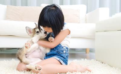 睡前瑜伽10分钟变身气质淑女 瑜伽减肥 第5张-瘦瘦减肥网 睡前瑜伽10分钟变身气质淑女 瑜伽减肥 第5张