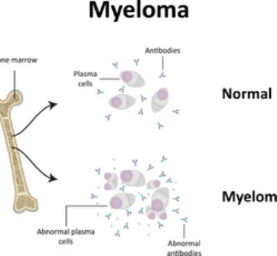 睡前15分钟小运动可高效燃脂 运动减肥 第2张-瘦瘦减肥网 睡前15分钟小运动可高效燃脂 运动减肥 第2张