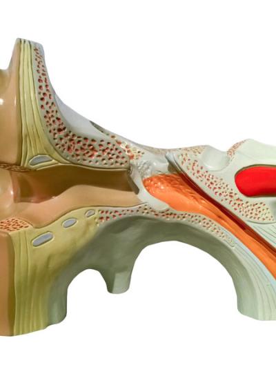 著名助产师教你超有效丰胸按摩手法(图) 丰胸 第5张-瘦瘦减肥网 著名助产师教你超有效丰胸按摩手法(图) 丰胸 第5张