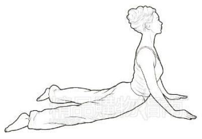 5大瘦臀攻略 打造完美翘臀(图) 提臀 第1张-瘦瘦减肥网 5大瘦臀攻略 打造完美翘臀(图) 提臀 第1张