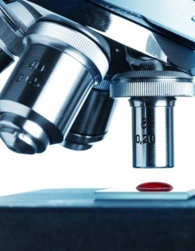 谁谋杀了我的身材?我的身材谁做主 减肥 第1张-瘦瘦减肥网 谁谋杀了我的身材?我的身材谁做主 减肥 第1张