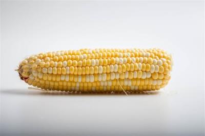 玉米粥怎么吃？怎么吃减肥的呢？ 饮食减肥 第1张