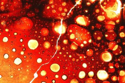 减肥还得戒糖?这是怎么一回事? 减肥 第1张-瘦瘦减肥网 减肥还得戒糖?这是怎么一回事? 减肥 第1张