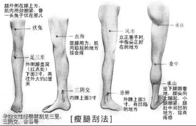小腿粗怎么减的图解 瘦腿 第1张