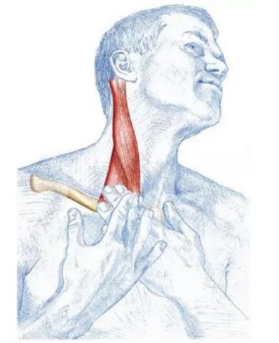 4个简单动作,帮你缓解颈部结节 局部减肥 第3张-瘦瘦减肥网 4个简单动作,帮你缓解颈部结节 局部减肥 第3张