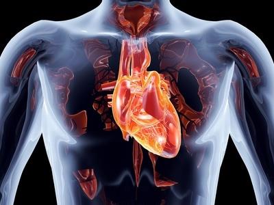 想减肥不能犯的五个错误 减肥 第1张